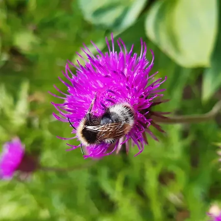 T2 Renove Centre - 4 Pers - Fr-1-234-316 Apartment *