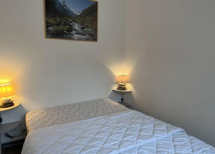 T2 Renove Centre - 4 Pers - Fr-1-234-316 * Cauterets