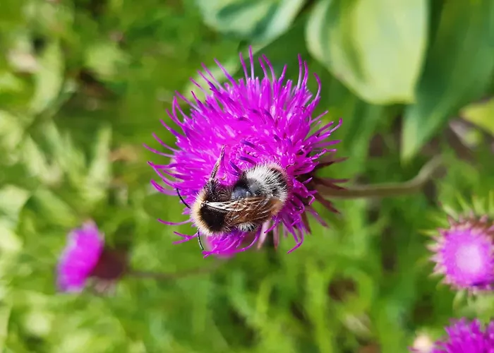 T2 Renove Centre - 4 Pers - Fr-1-234-316 Apartment *