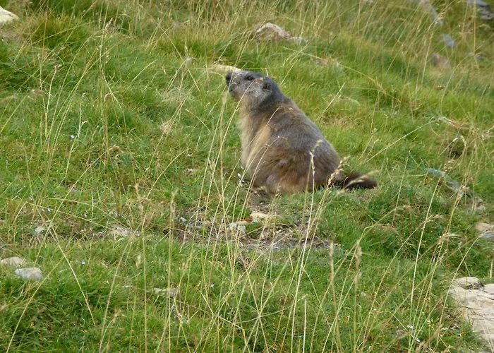 T2 Renove Centre - 4 Pers - Fr-1-234-316